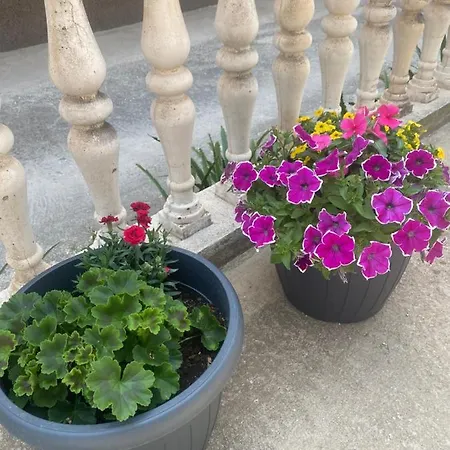 M&m Spalato Apartment *